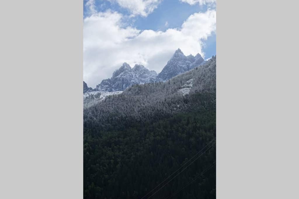 Studio Face Au Mont-Blanc Apartment Chamonix Exterior photo