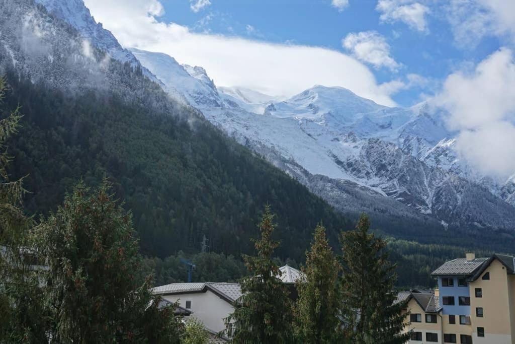 Studio Face Au Mont-Blanc Apartment Chamonix Exterior photo