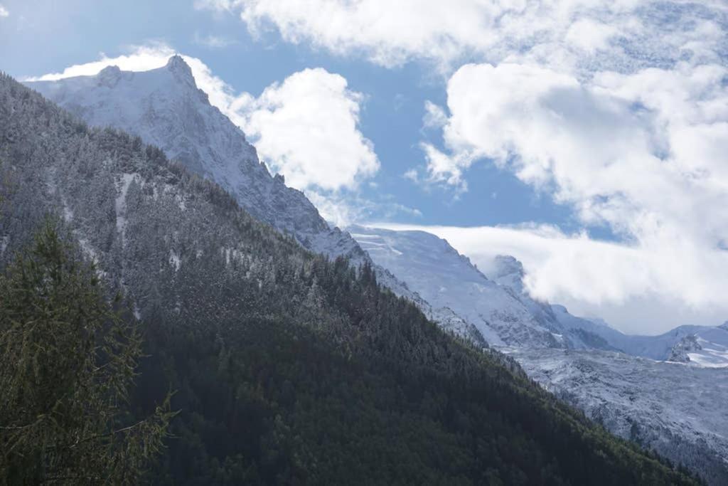 Studio Face Au Mont-Blanc Apartment Chamonix Exterior photo